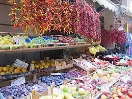 Daire San Paolo House